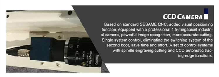CCD Camera